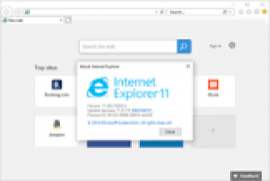 Internet Explorer