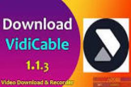 VidiCable 1.1