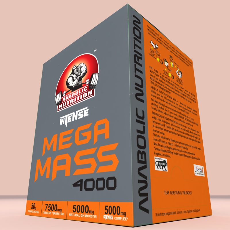 ANABOLIC NUTRITION INTENSE MEGA MASS 4000 - Image 6